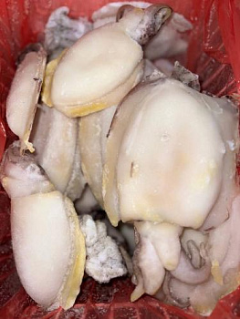 Каракатицы 40/60 с/м (вес.)